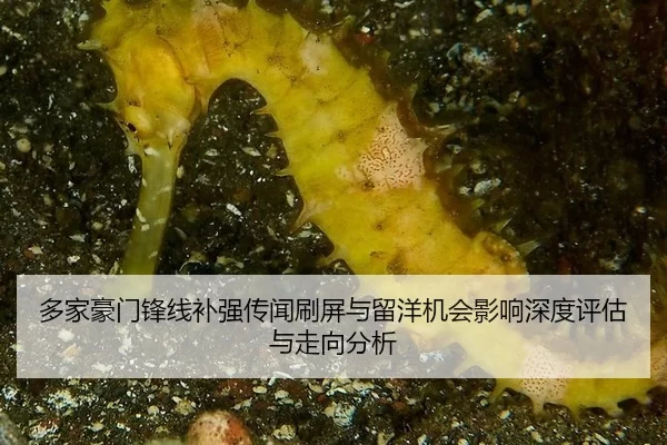 多家豪门锋线补强传闻刷屏与留洋机会影响深度评估与走向分析