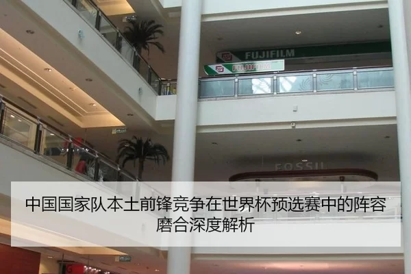 中国国家队本土前锋竞争在世界杯预选赛中的阵容磨合深度解析